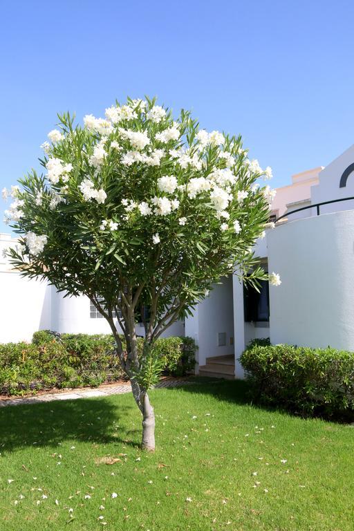 Cabana Da Ria Cabanas De Tavira Εξωτερικό φωτογραφία